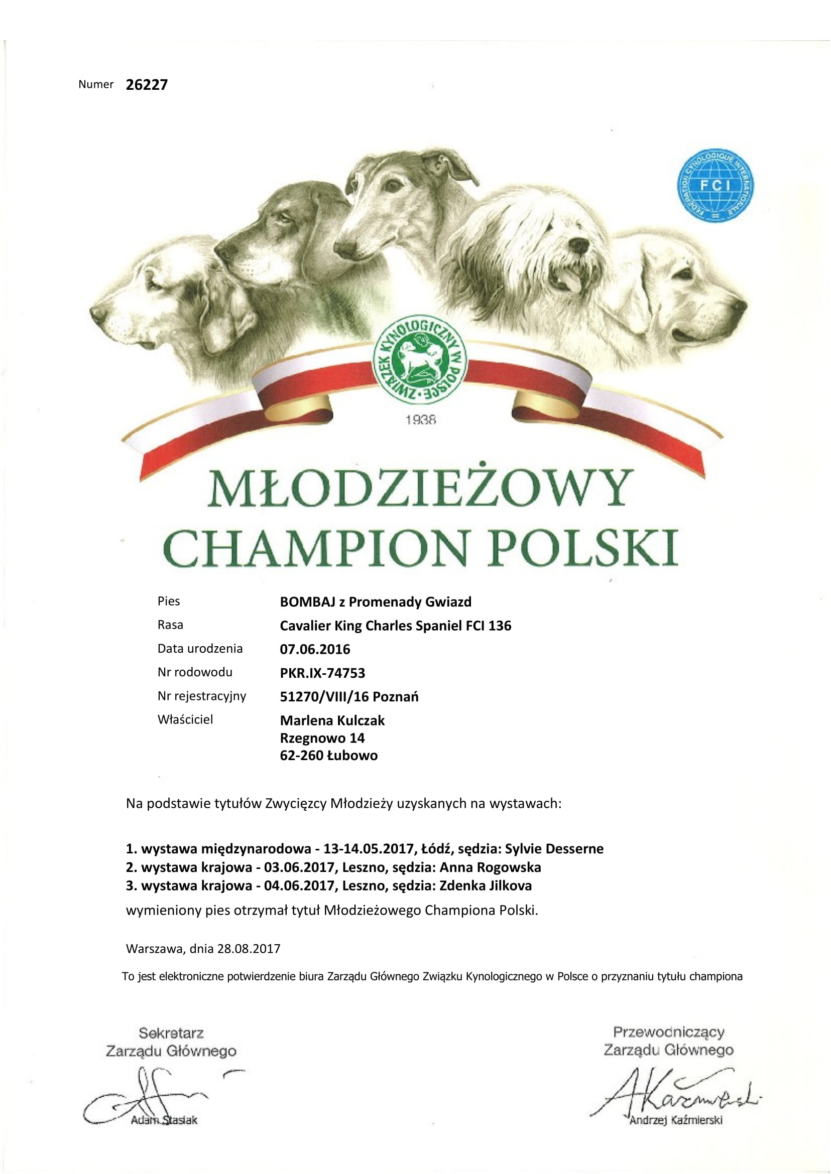 Mlodziezowy Champion Polski