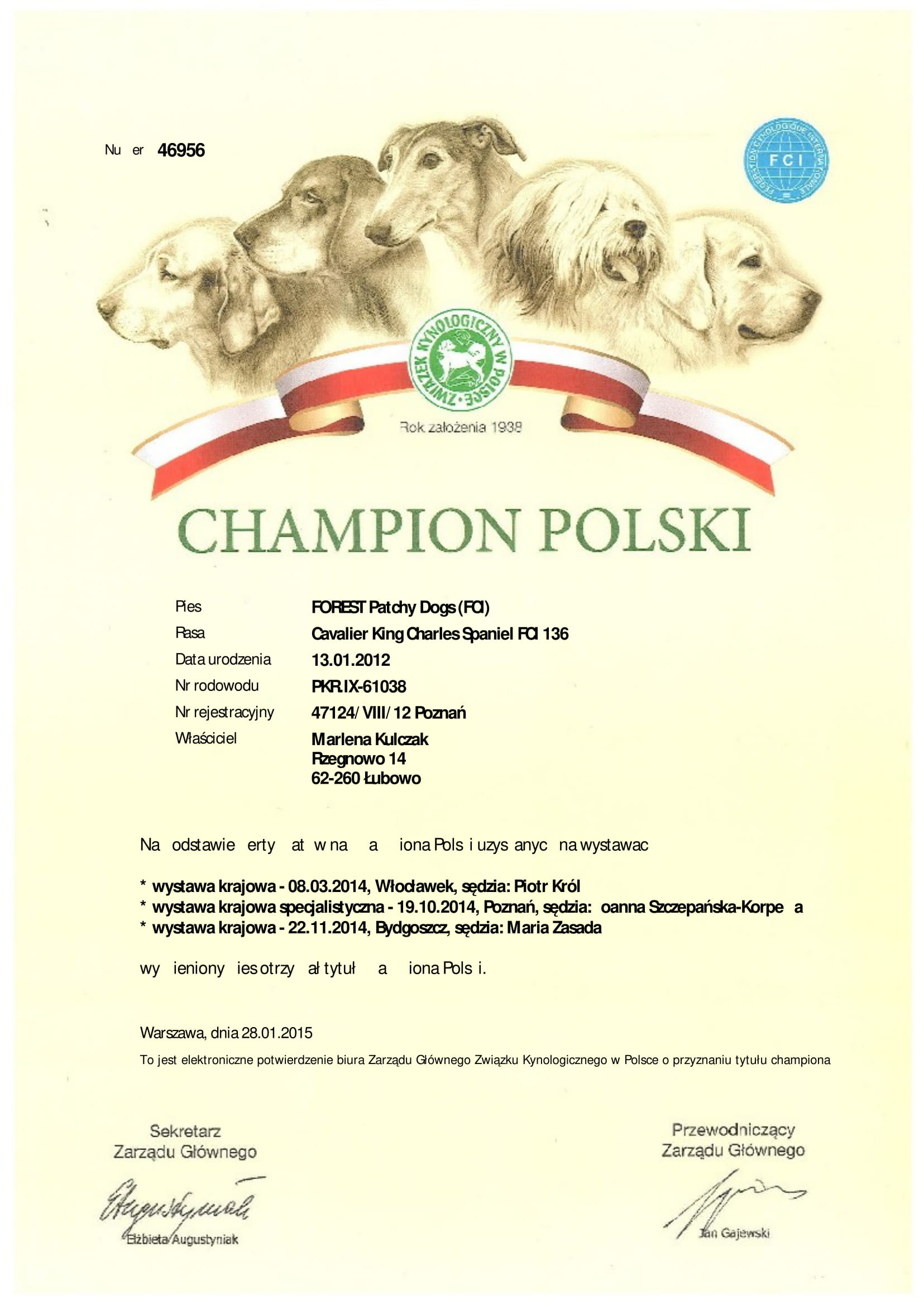 Forest Champion Polski